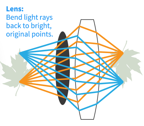 diagram of what causes blurry eyesight in the human eye